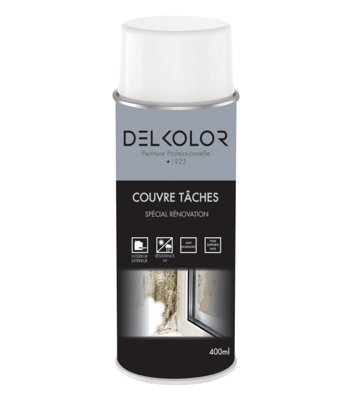 Delkolor Peinture Couvre Taches Spécial Rénovation en Aérosol - 400ml