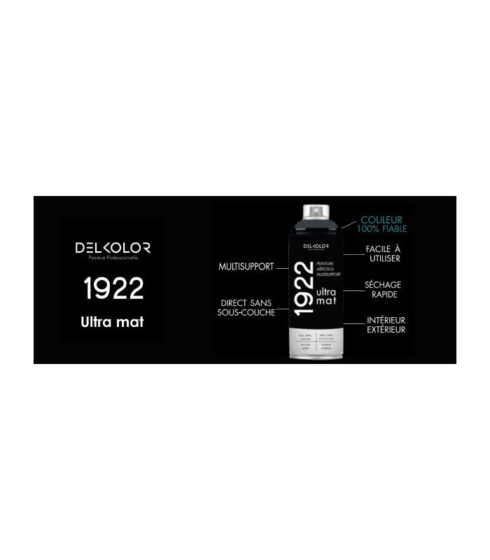 Peinture aérosol DELKOLOR 1922 MAT - 400 ml