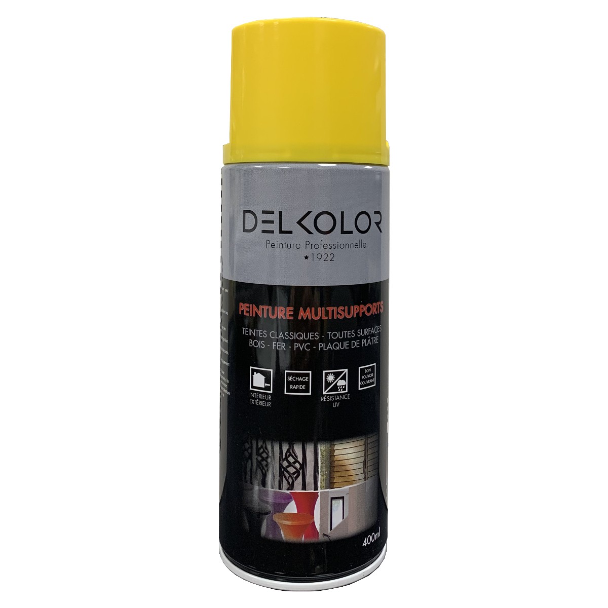 Delkolor Peinture Tableau Magnétique Noir 100ml Couleur: Noir