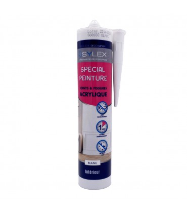 Mastic acrylique