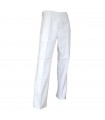 Pantalon de travail (Pinceau)