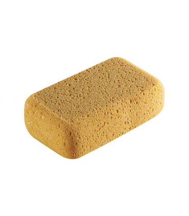 Eponges