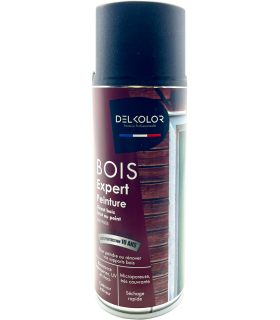 Delkolor Aérosol Peinture Microporeuse spéciale Bois 400ML
