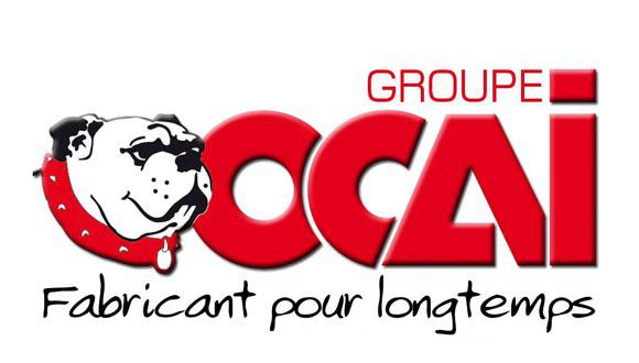 OCAI